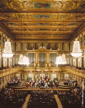 Wiener Mozart Orchester im Goldenen Saal 