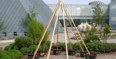 Foto: Museumsgarten