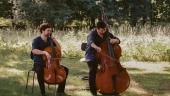 Musik im Park – Eintritt frei! Musik-Festival Grafenegg