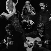 Musikschiene: FLAMENCO LIBRE