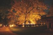 Foto: Nacht der keltischen Feuer
