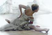 Foto: Vereinigung Wiener Staatsopernballett