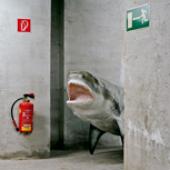 Foto: NHM-Sonderausstellung: KLAUS PICHLER - Skeletons in the Closet