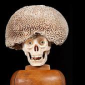 Foto: Ausstellung: Daniel Spoerri im NHM - ein inkompetenter Dialog?