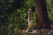 Nilbar Güreş, Headstanding Totem, 2014
