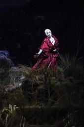 Die Zauberflöte