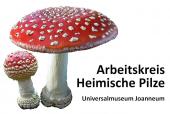 Pilzbestimmungsnachmittag - Mit dem Arbeitskreis Heimische Pilze