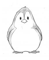 Foto: Pinguin