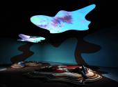 Pipilotti Rist Tyngdkraft, var min vän (Gravity, be my friend), 2007
