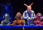 Foto La Strada - Stuffed Puppet Theatre: Cuniculus, Orpheum Graz