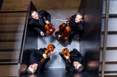 Reise ins Innere - Cedag Quartett