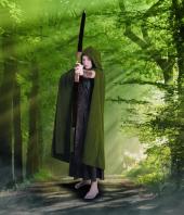 Robin Hood - Eine Heldinnengeschichte