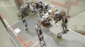Foto: Roboter