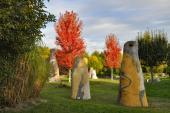 Schaugartentage im Herbst 2024