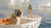 Schiffbruch mit Tiger
