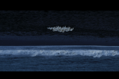 Thuy-Han Nguyen-Chi, Into The Violet Belly, 2022, Still