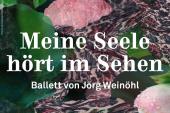 Meine Seele hört im Sehen