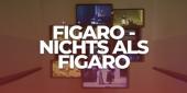 Sonderführung FIGARO - NICHTS ALS FIGARO