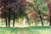 Spaziergang durch ein Gemälde - Historische Schlossparkführung