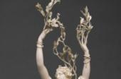 Spezialführung - Der Baum in der Kunst - Daphne