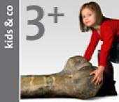 Symbol NHM Kids & Co