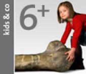 Symbol NHM Kids & Co