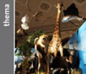 Foto: Symbol NHM Thema