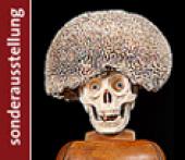Symbol NHM Fürhung durch die Sonderausstellung - Daniel Spoerri