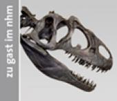 Symbol Zu Gast im NHM