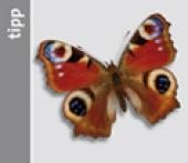 Symbol NHM Tipp