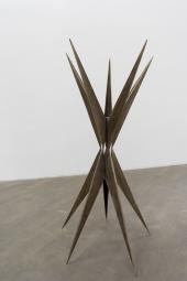 Tillman Kaiser Spinne, 2011 