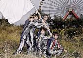 Foto: TIMID TIGER