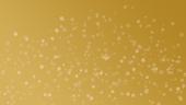Congress Innsbruck - Neujahrs­konzert 2024