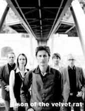 Foto SON OF THE VELVET RAT, Chelsea