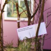 WALDREICH - Der Wald und Wir!