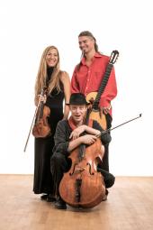 World Music - Wild Strings Trio