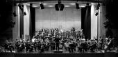Württembergische Philharmonie Reutlingen