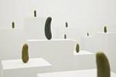 Erwin Wurm, Selbstporträt als Gurken, 2008, Acryl, Acryllack, lackierte Holzpodeste, 36-teilige Installation