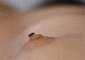 Yoko Ono Fly, 1970 Videostill Collection of the artist 