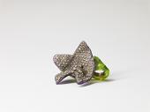 Petra Zimmermann, Ring, 2010