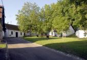 Nusswald Kellergasse Platt