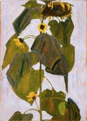 Sonnenblume, 1908