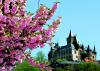 Harzblicke zum Schloß Wernigerode® Foto: Jens Wolf, © Investitions- und Marketinggesellschaft Sachsen-Anhalt mbH