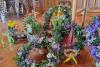 Kurs: Der Hausgarten als Lieferant für Kräuterschmuck und Blumenkranzerln